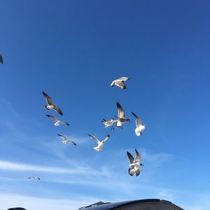 Meet your Posher, Salatil